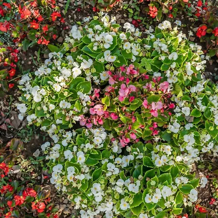 Kate-1 By Interhome * Rukavac (Primorje-Gorski Kotar)